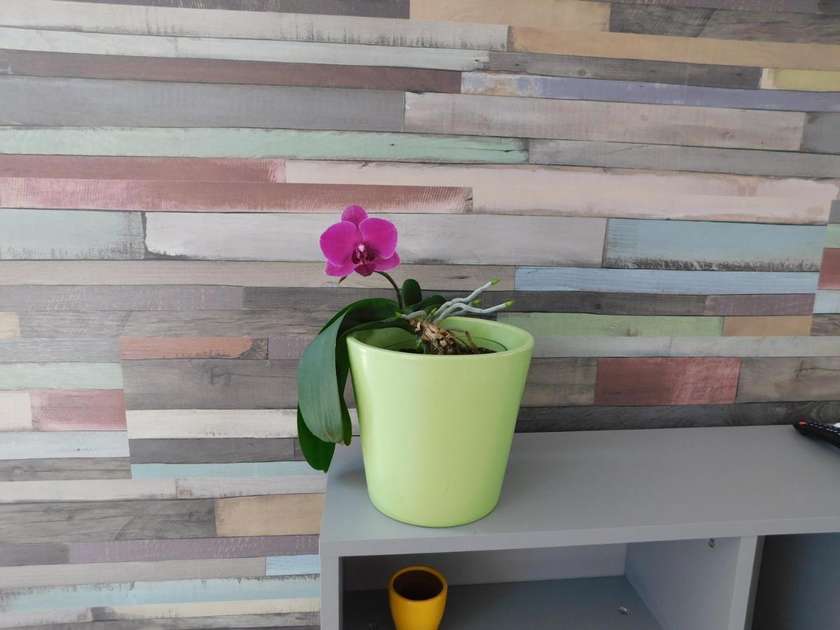 Prnjavor Tina Apartman מראה חיצוני תמונה
